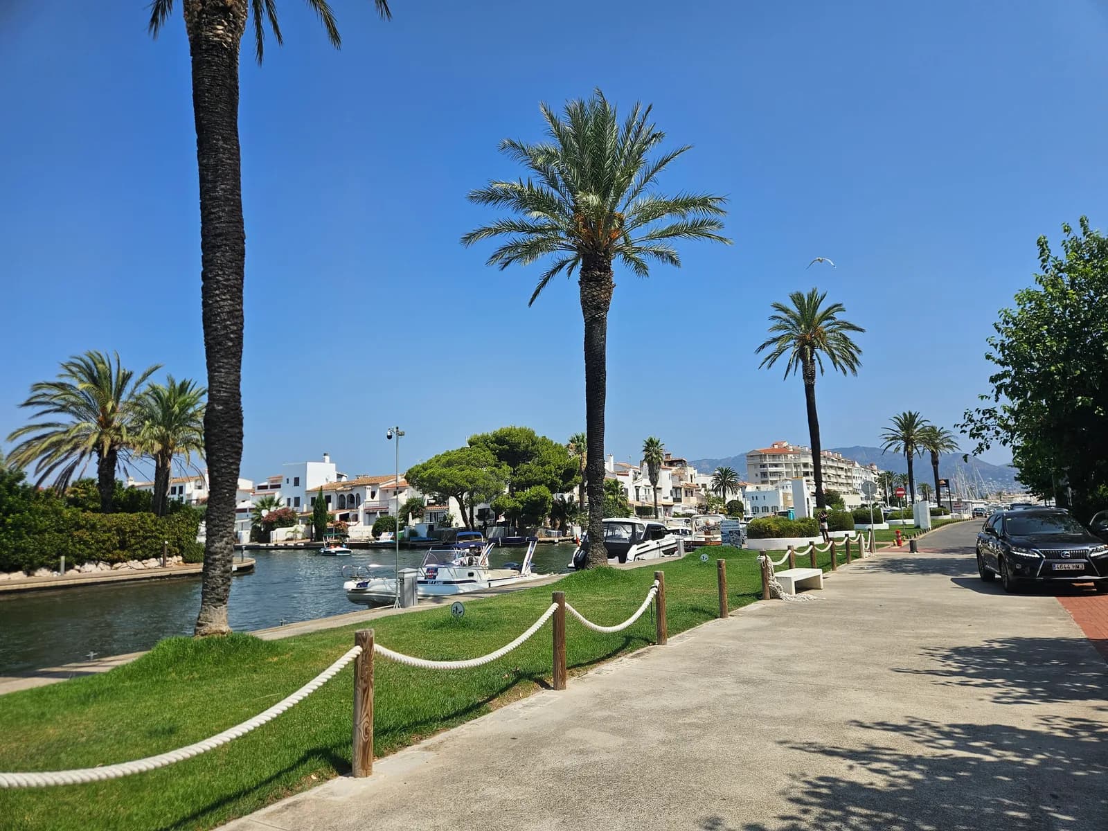 Palm trees along a canal lined with moored boats in Empuriabrava