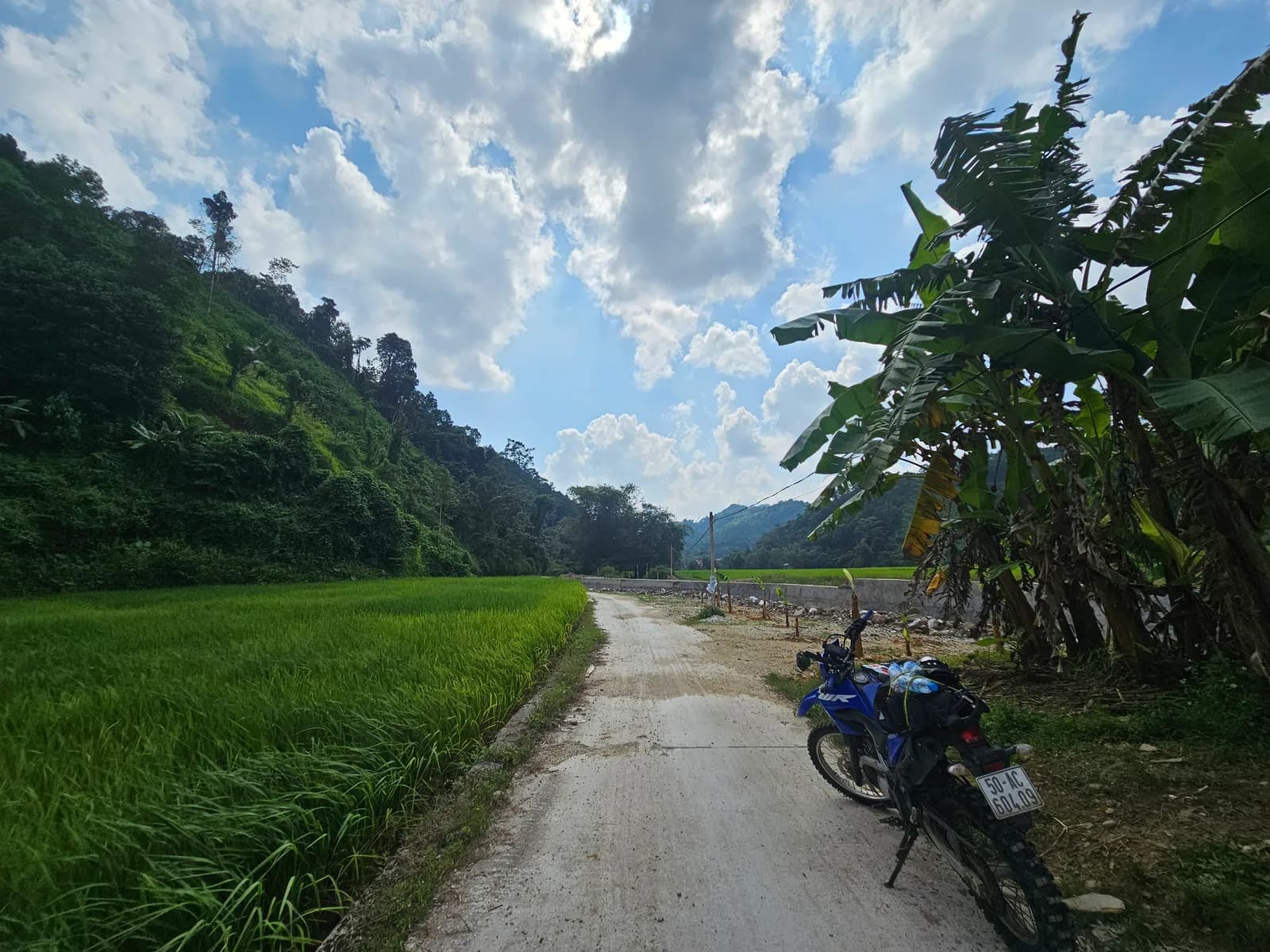 A concrete track through rice paddies in Bac Kan, a blue motorbike parked at the side